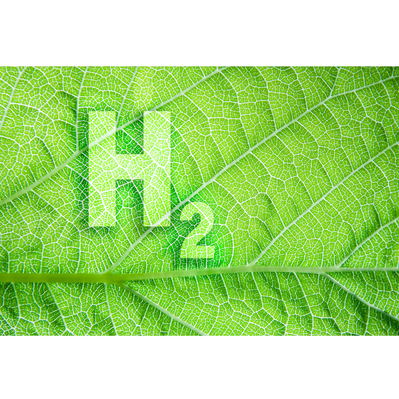 Ensuring sustainable development standards for a clean hydrogen ecosystem
