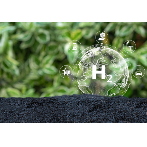 HYPERION Stakeholder Survey Results